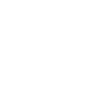 network icon